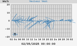 Wind Vector