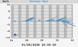 Wind Vector