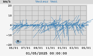 Wind Vector